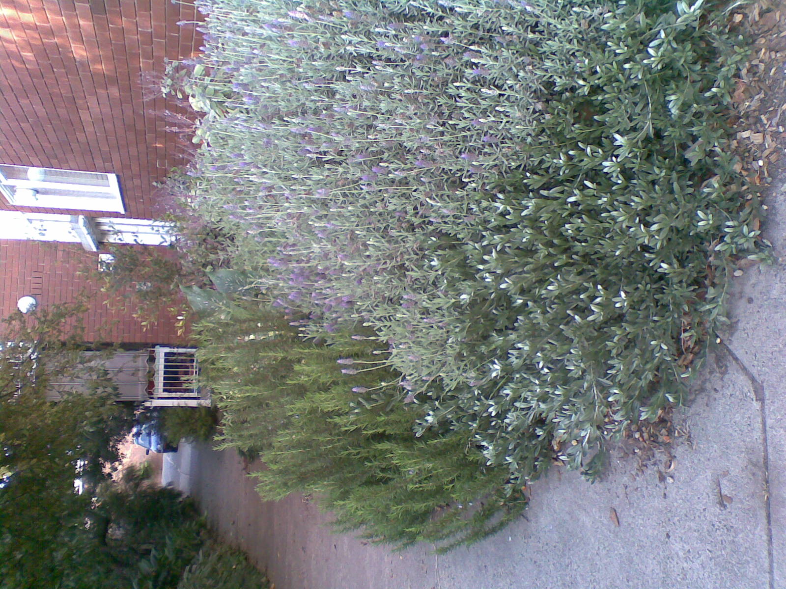 01042009(001).jpg